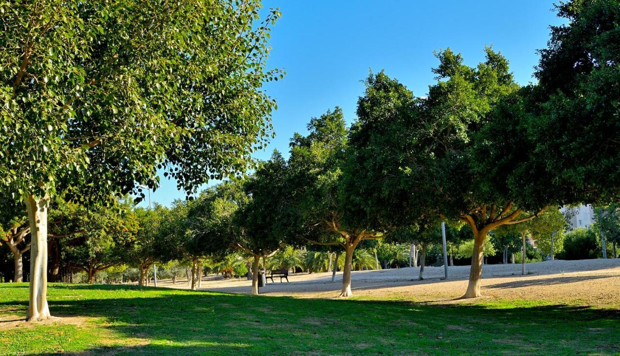 Apartmán Myflats Brisas Del Sur Alicante Exteriér fotografie